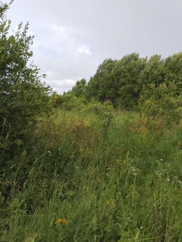 Колодно дер., д 6