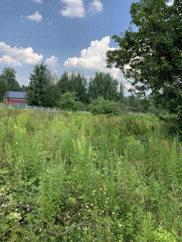 Всеволожск г., Марьинская ул., д 1