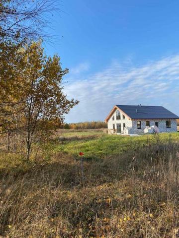 Большие Изори дер., д 10