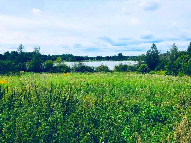 Щегоща дер.