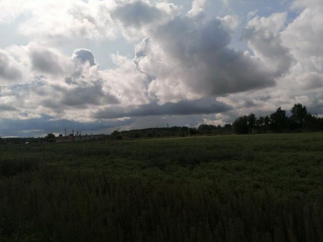 Подгородье дер.