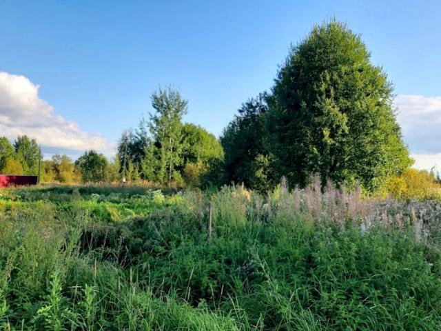 Красноозерное дер.