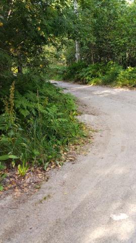 Цветково пос.