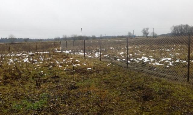 Муховицы дер.