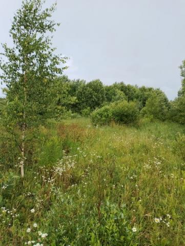 Подгородье дер., д 5