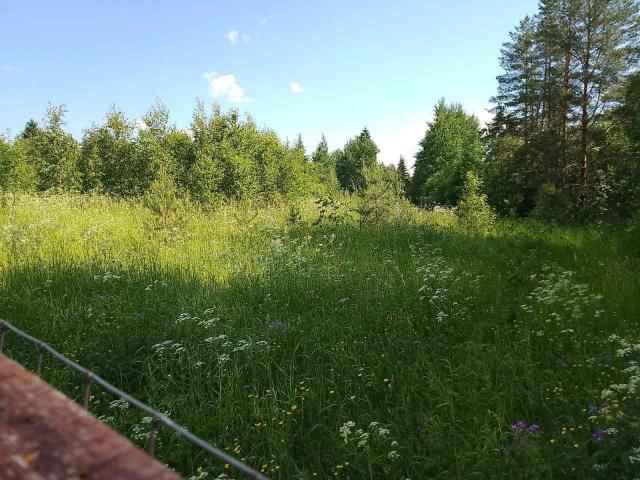 Алексеевка дер.