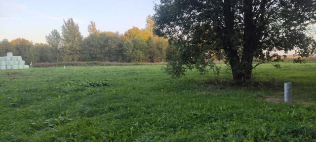 Жилгородок дер.