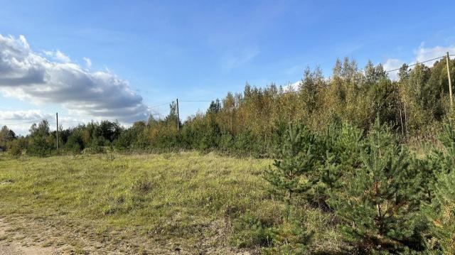 Красносельское пос.