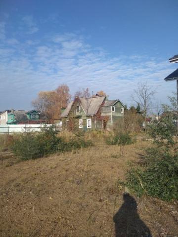 Петергоф г., Луизино ул.