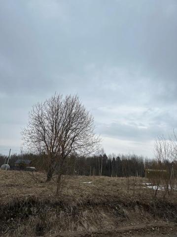 Порзолово днт, Порзолово болото ур.