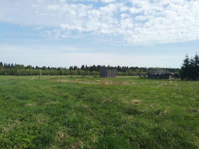 Новая Буря дер.