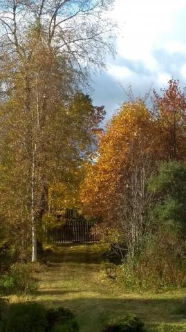 Большие Озертицы дер., д 9