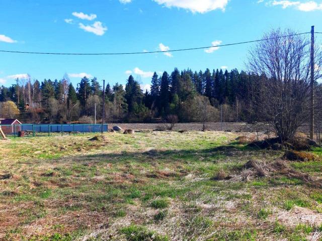 Хвойное дер.