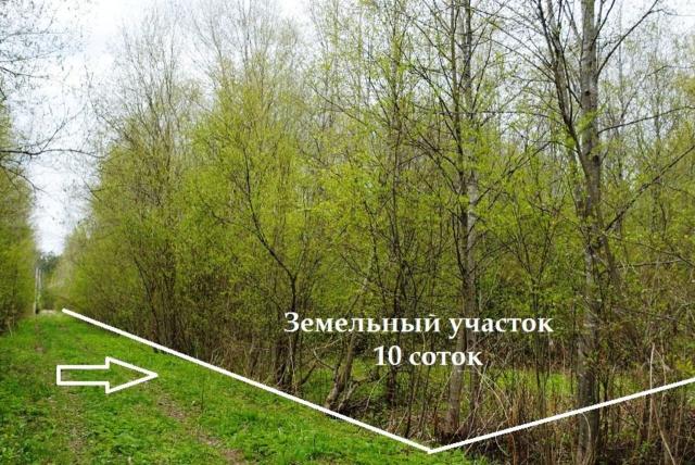 Славянка массив