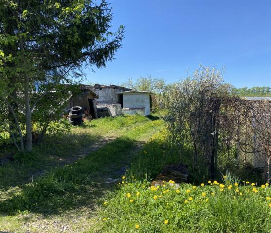 Верхняя Колония дер.