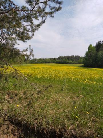 Раздолье пос.