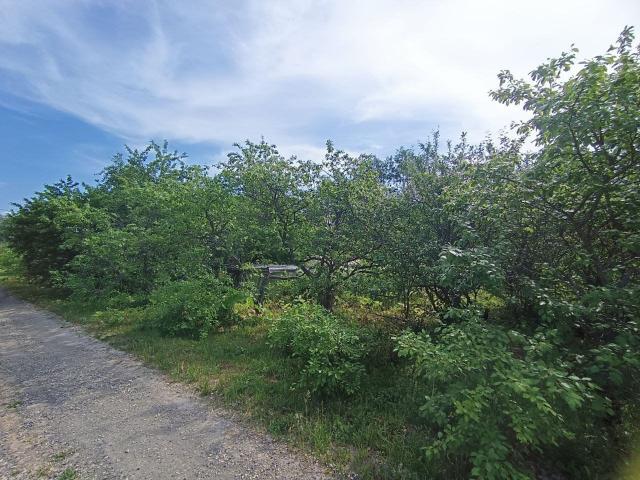 Ижора снт., д 104