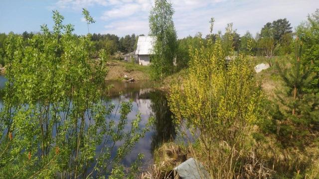 Коккорево дер., д 200