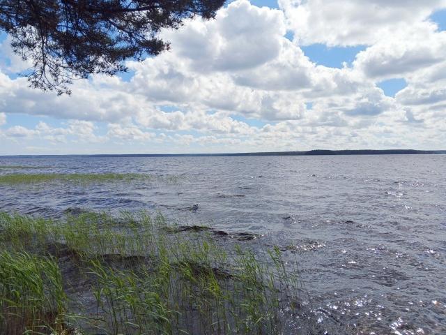 Правдино пос.