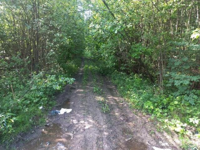 Офицерское Село тер.