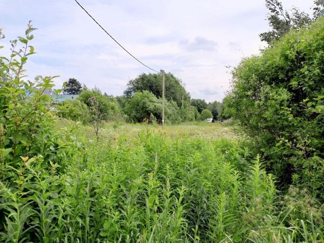 Пушное пос.