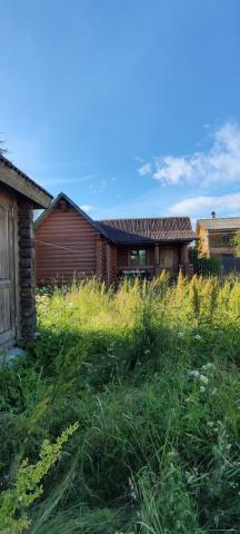 Беляевский мох массив, Клен снт, д 277