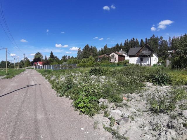 Хвойное дер.