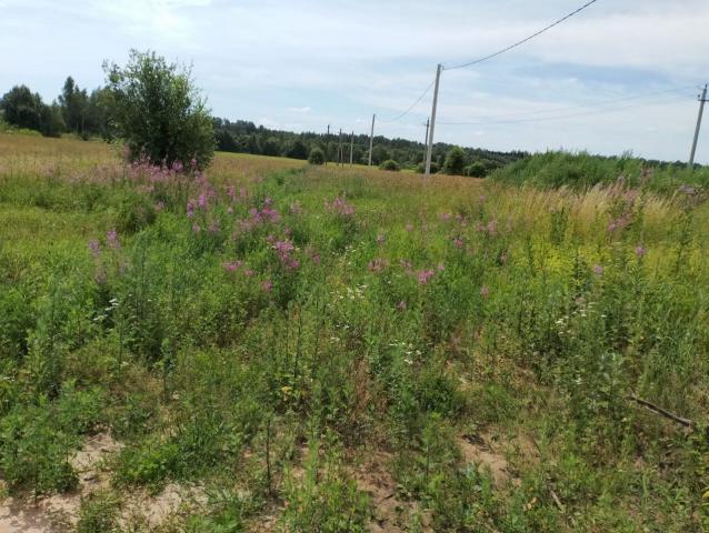 Старая Середка дер., д 5