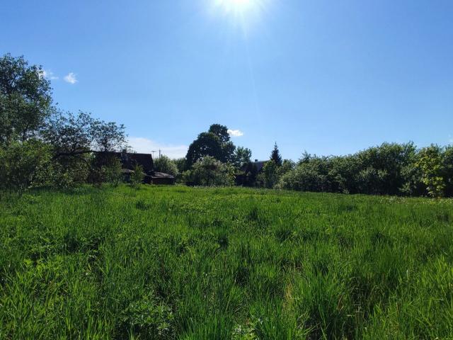 Малое Забородье дер.