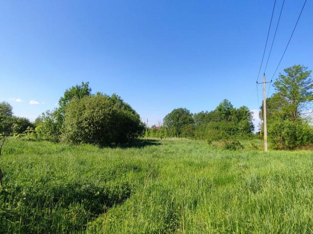 Малое Забородье дер.