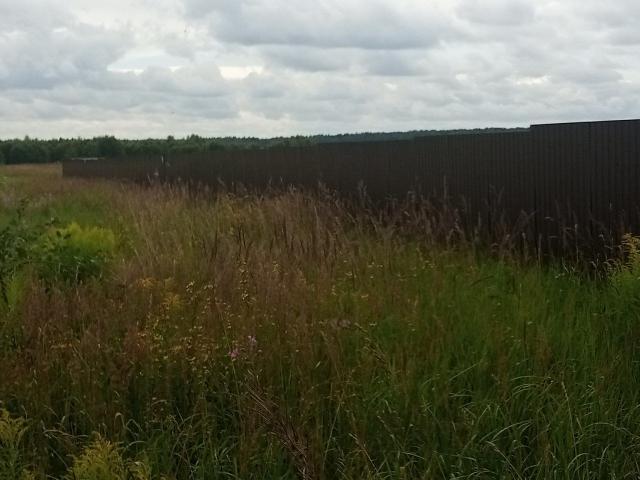 Углово дер.