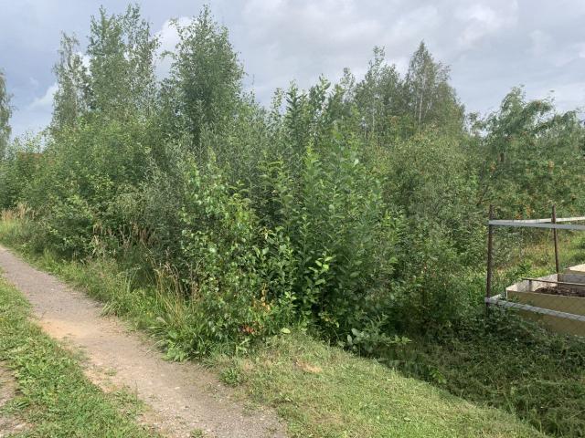 Бабино массив, Сплав снт, Бабино массив, Сплав снт