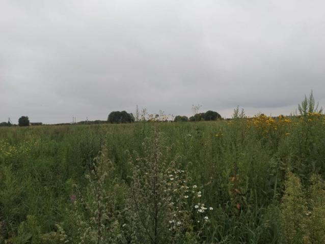 Приозерный пос., д 5