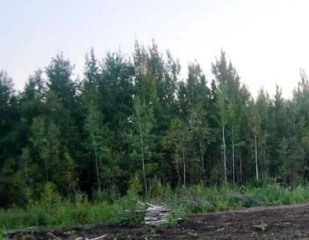 Всеволожск г., Всеволожск г.