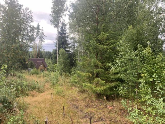 Сарженка дер., Деревенская ул.