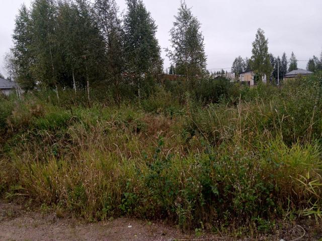 Всеволожск г., Всеволожск г.