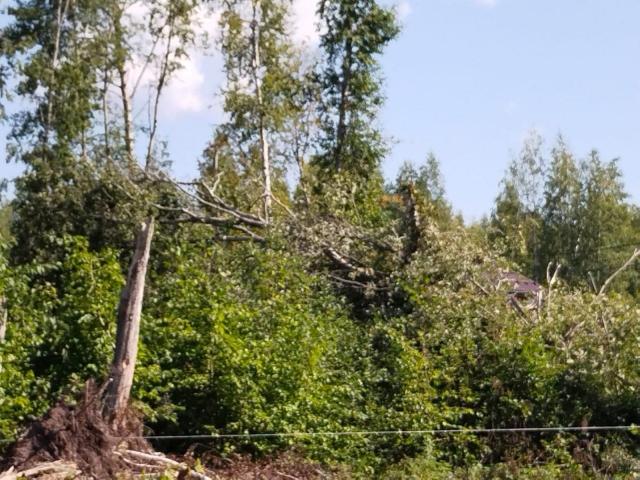 Яблоновка пос.