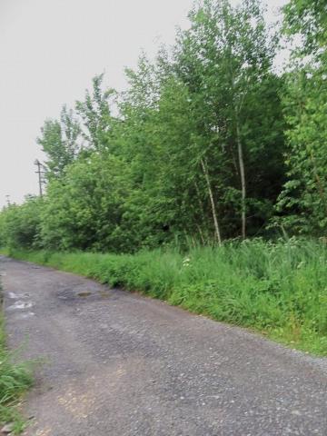 Трубников Бор дер.