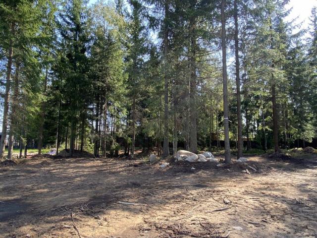 Сертолово г., Сияние днп снт.