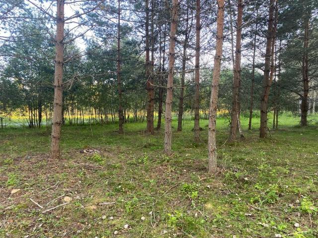 Смерди дер., д 4