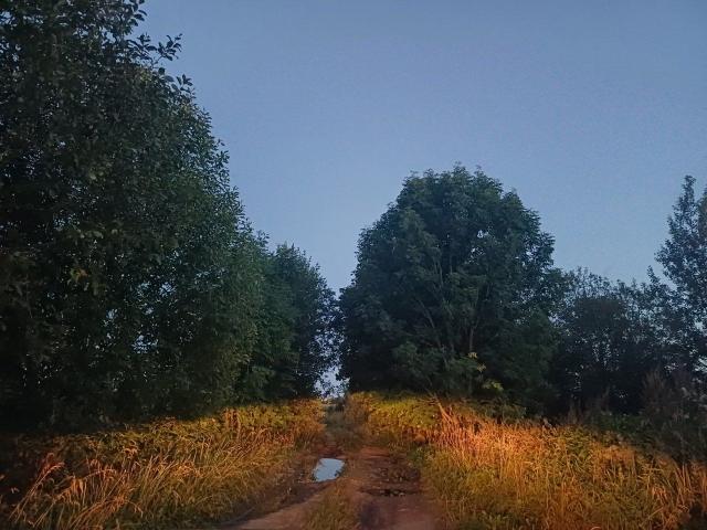 Оржицы дер.