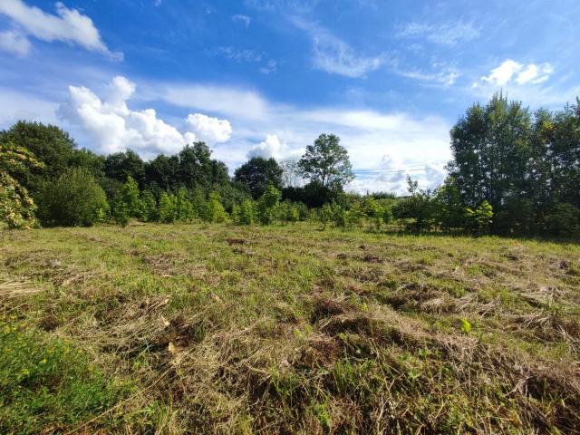 Малое Забородье дер.