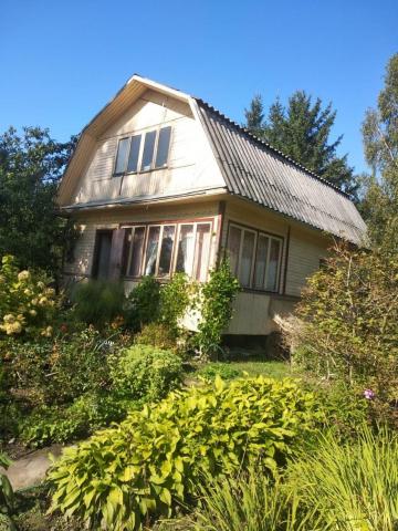 Мшинская массив, Самсон снт, д 82