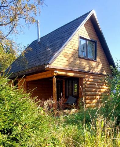 Белоостров массив, Поляна дск