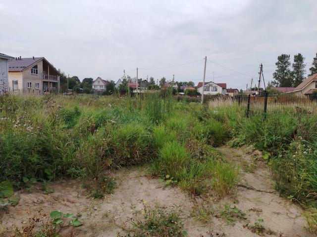 Сойкино пос.