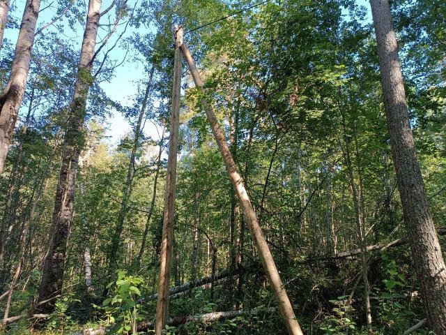 Ларионово пос.