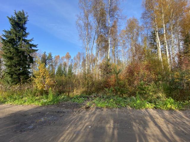 Заречное ДНП