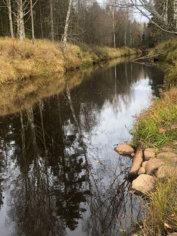 Заповедное днп