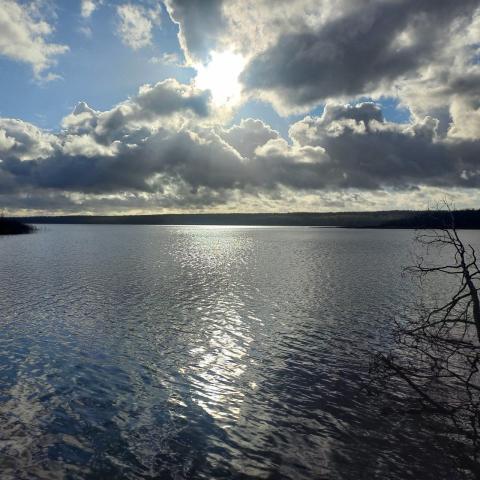 Поляны пос., Цветочная ул.