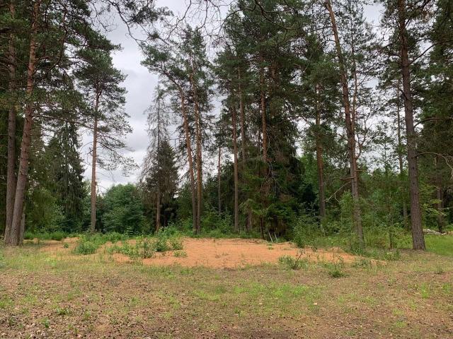 Шалово дер.